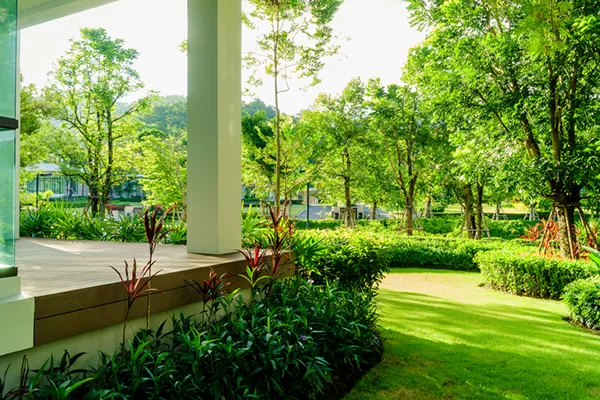 Residential Tree Service Residential Tree Service